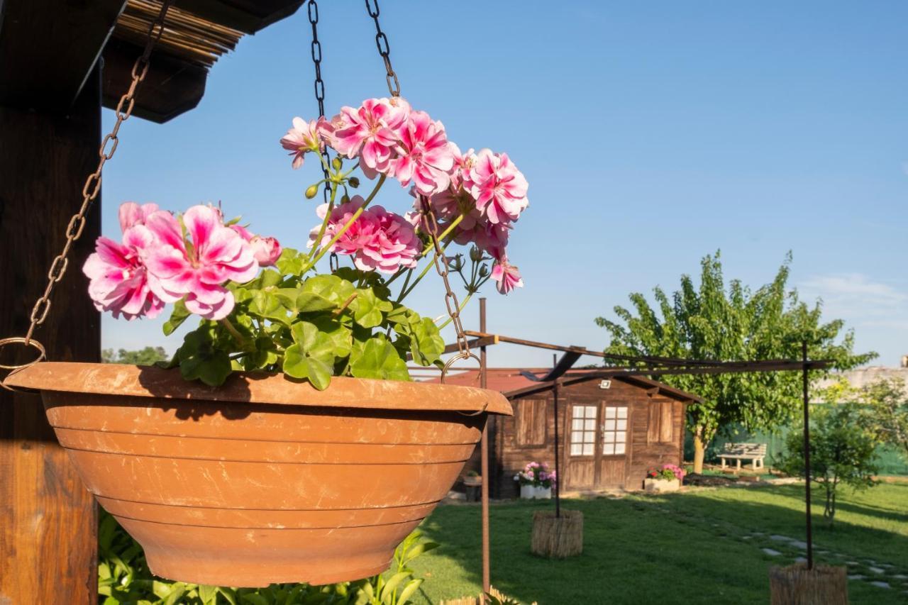 A Lu Fanizza Bed and Breakfast Cutrofiano Buitenkant foto