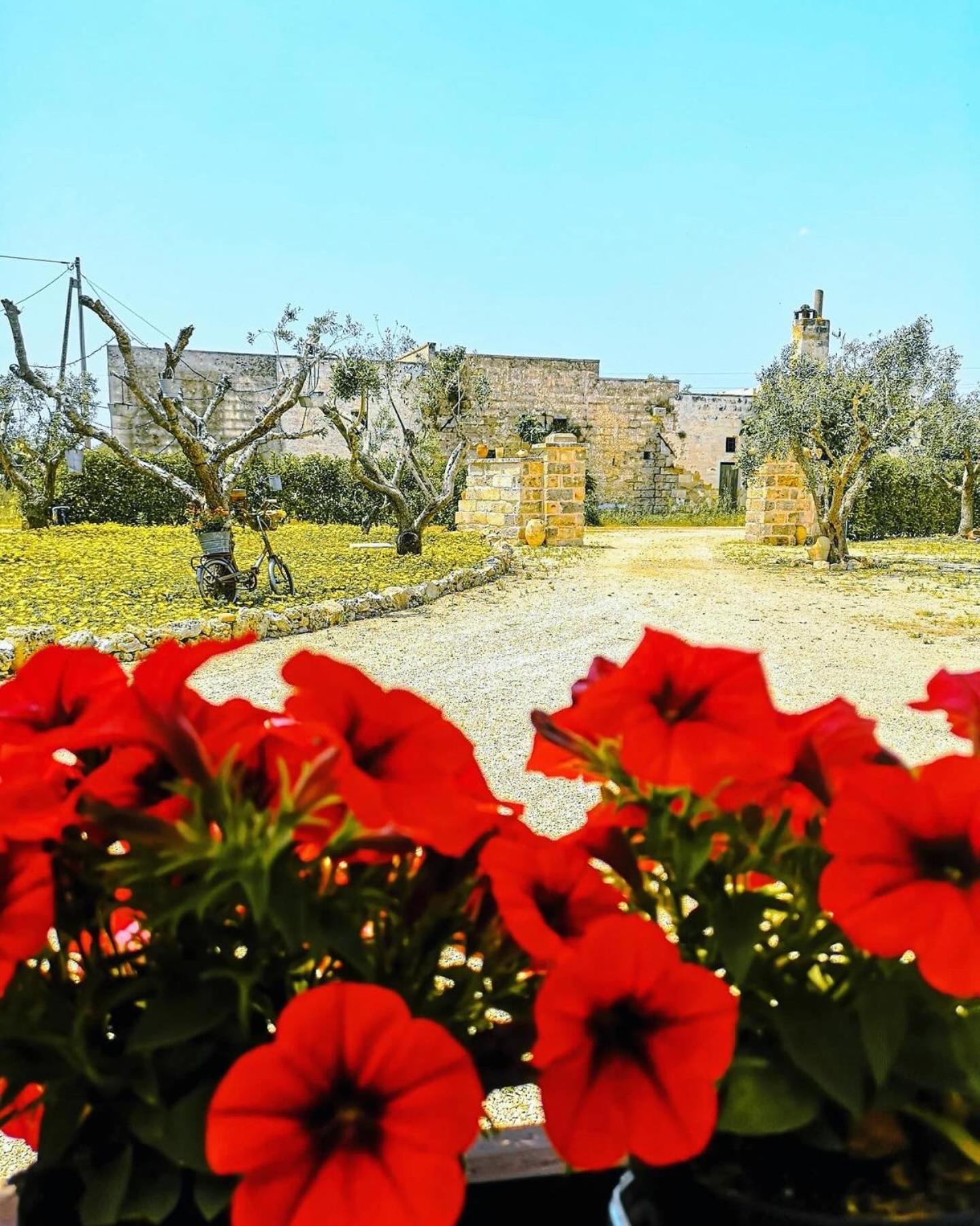 A Lu Fanizza Bed and Breakfast Cutrofiano Buitenkant foto